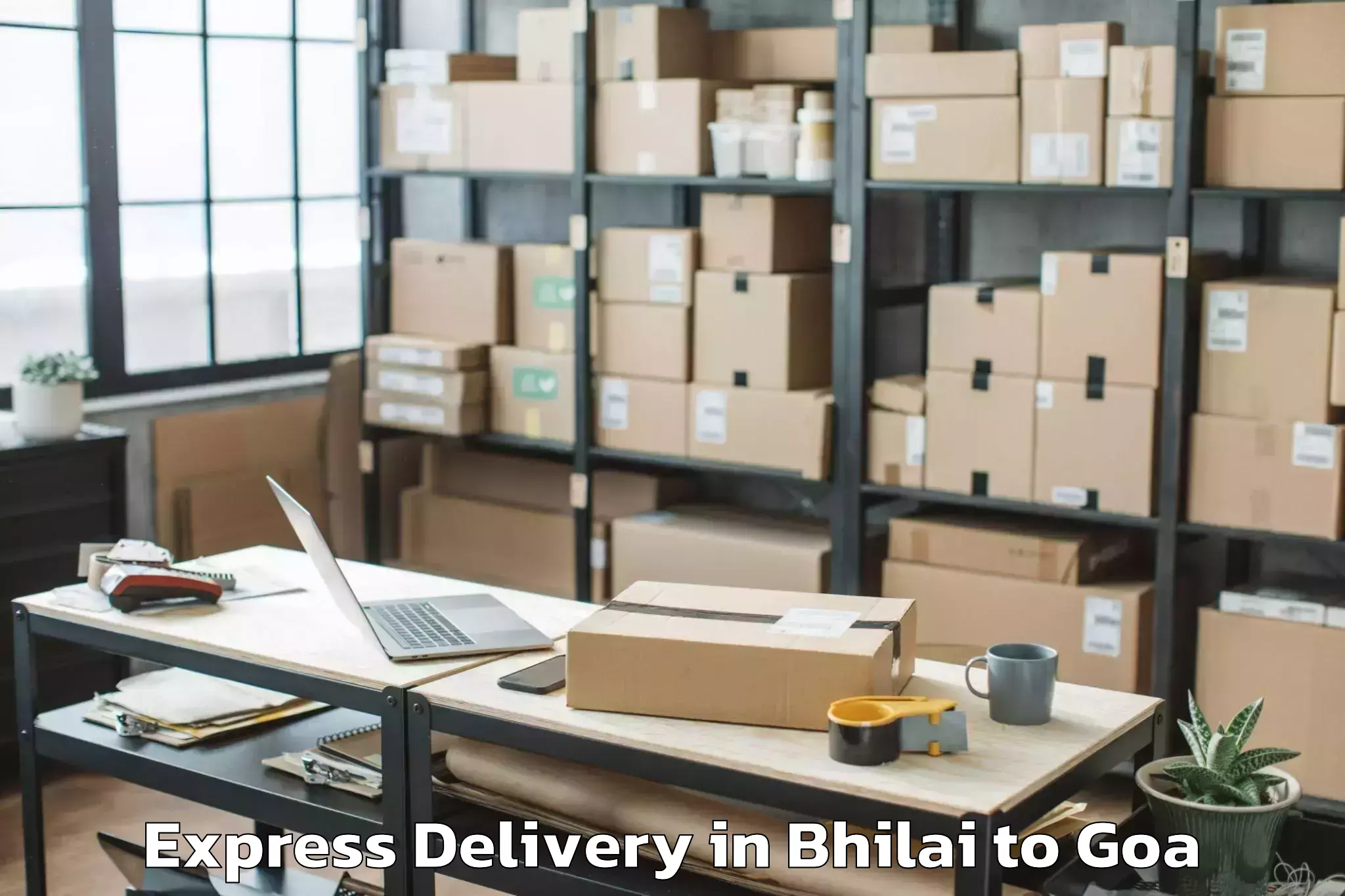 Professional Bhilai to Aldona Express Delivery